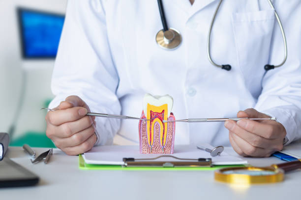 Best Tooth Infection Emergency Dentist  in Salina, UT
